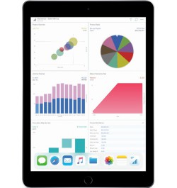 iPad WiFi (MR6N2NF/A)